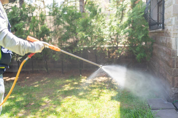 Best Best Pest Control Companies  in Teague, TX